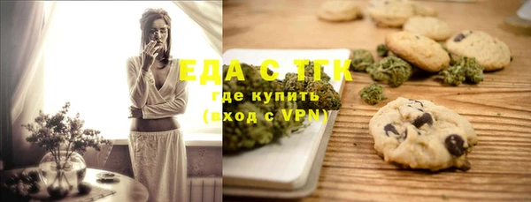 индика Белая Холуница