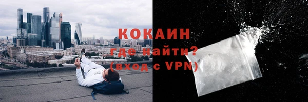 гашик Бежецк