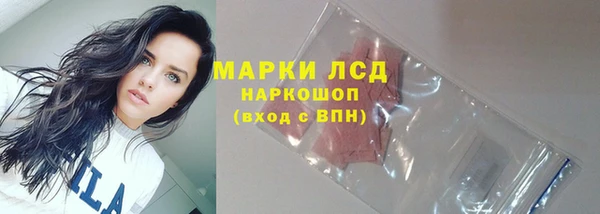 шишки Бикин