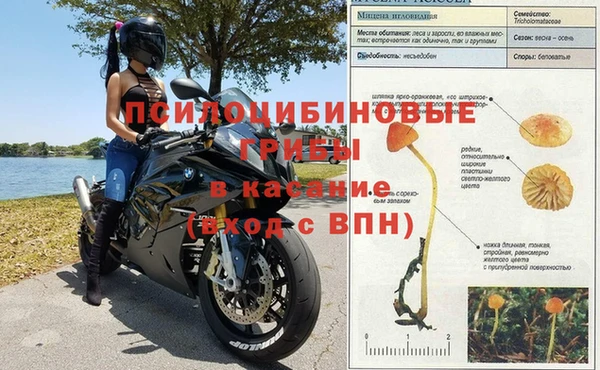 прущий лед Няндома