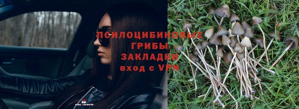 прущий лед Няндома