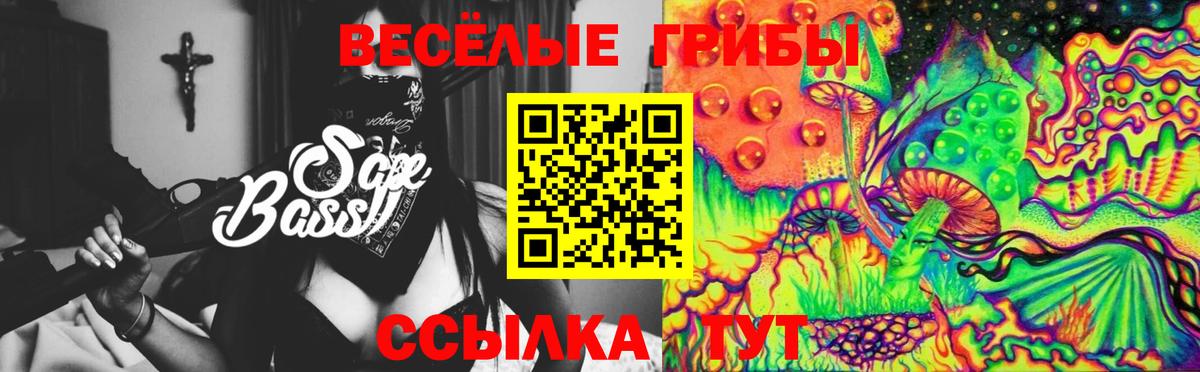 Галлюциногенные грибы мухоморы  Вход с VPN  Шуя 