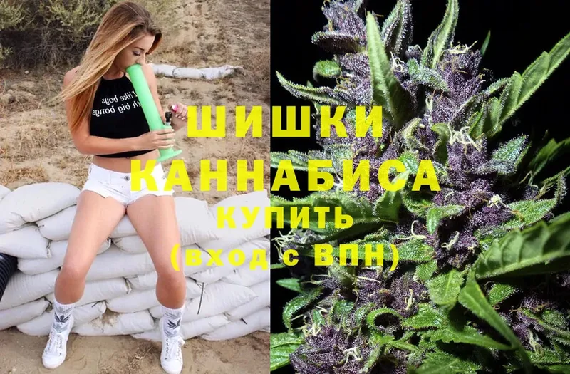 Бошки Шишки Amnesia  где можно купить   Шуя 