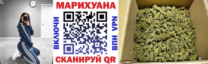 Канабис гибрид Шуя